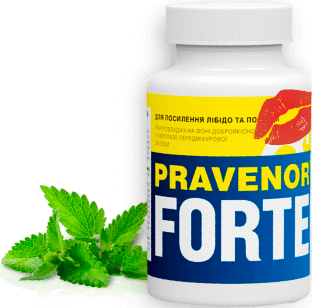 Pravenor-instruction